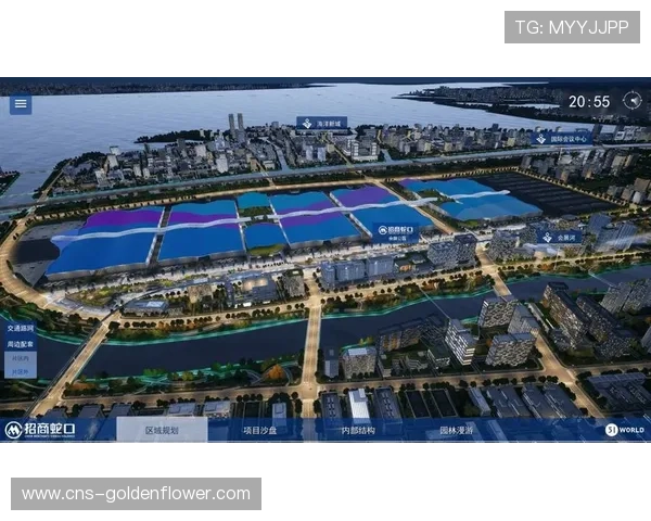 赛事运营与城市产业规划协同，赋能区域经济